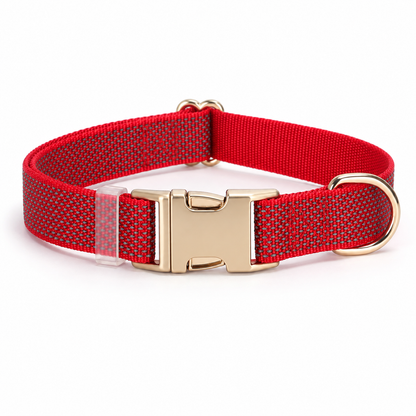 🏠 Adjustable Reflective Dog Collar | Comfortable, Safe & Stylish
