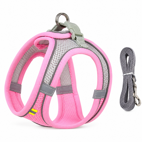 🐶 Pet Safety Walking Gear | Breathable Mesh Design | Everyday Walks & Outdoor Adventures