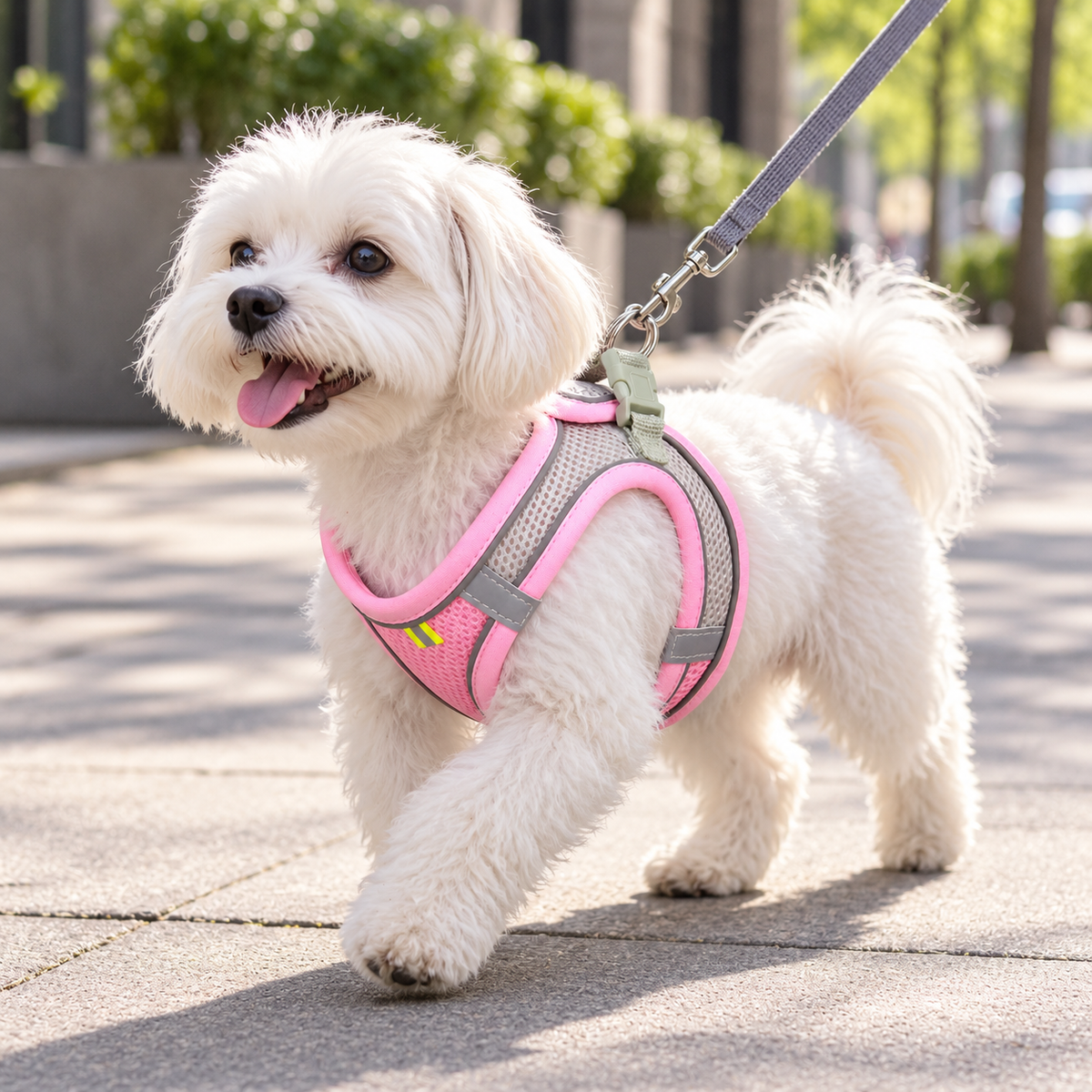 🐶 Pet Safety Walking Gear | Breathable Mesh Design | Everyday Walks & Outdoor Adventures