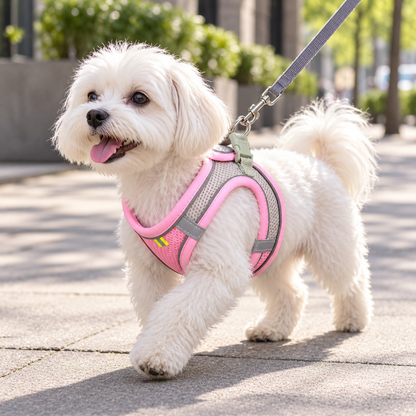 🐶 Pet Safety Walking Gear | Breathable Mesh Design | Everyday Walks & Outdoor Adventures